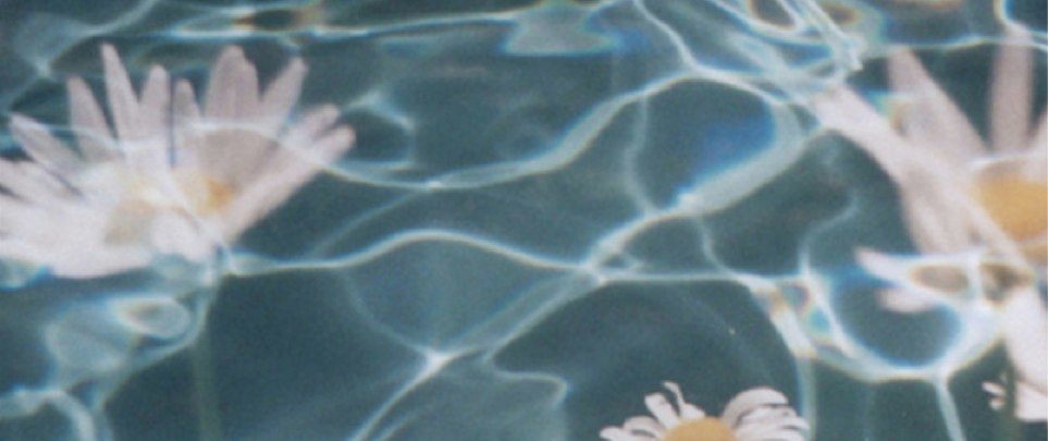 sabata – jungle