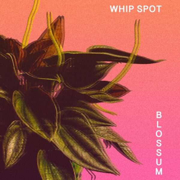 Blossum Gets Funky With “Whip Spot”