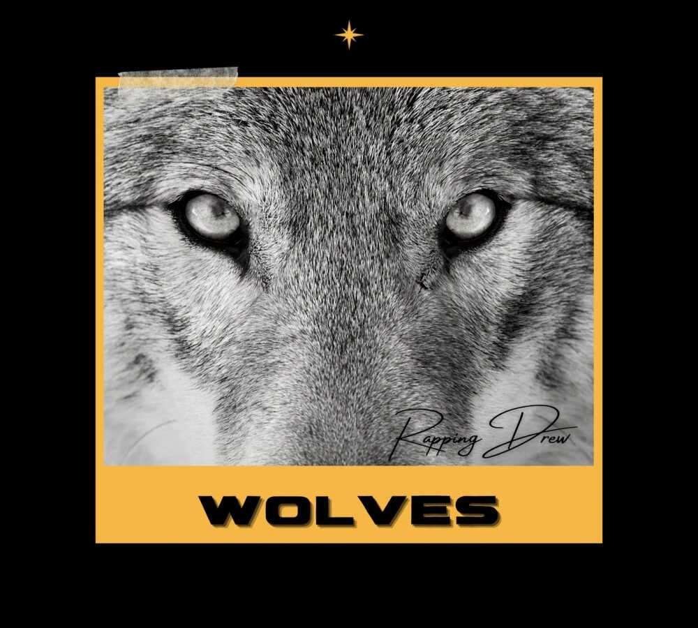 RappingDrew deliver them to the “Wolves”