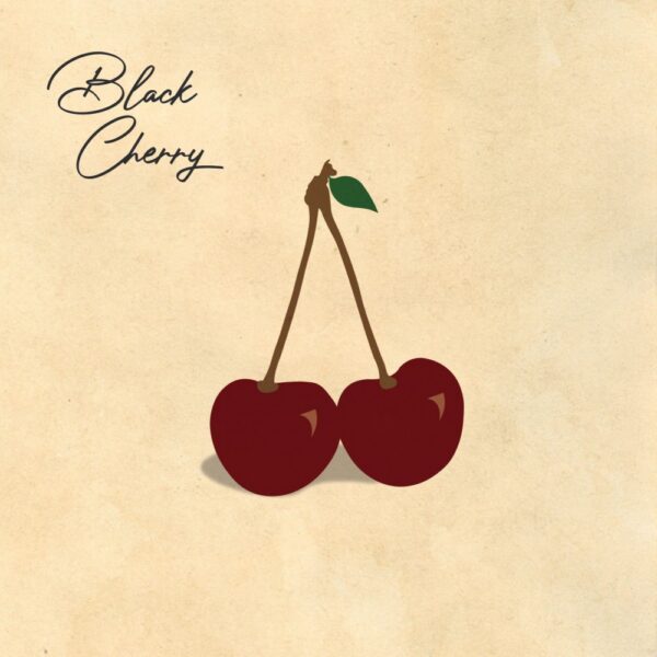 Wave Length and MoeSOS DC share new single titled “Black Cherry”
