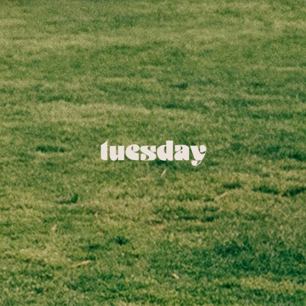 Billy Hammer shares new instrumental single titled “tuesday”