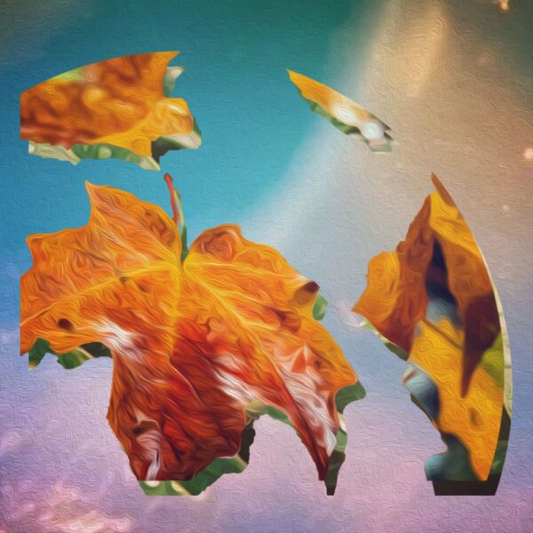 Barrett Staples reflects on “Novembrr”