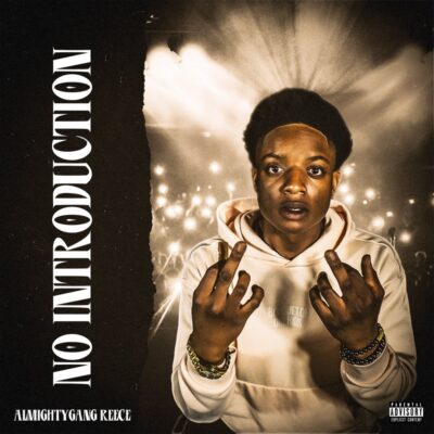 Cover of No Introduction