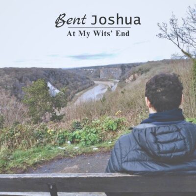 Cover of At My Wits’ End