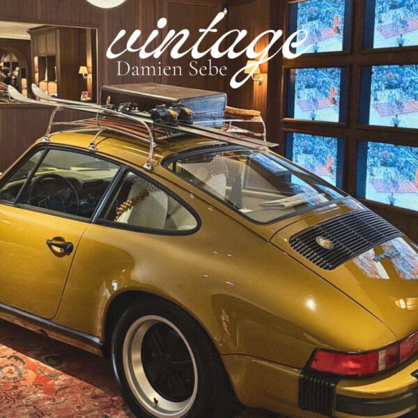 Damien Sebe delivers pure “vintage” sounds to rock with